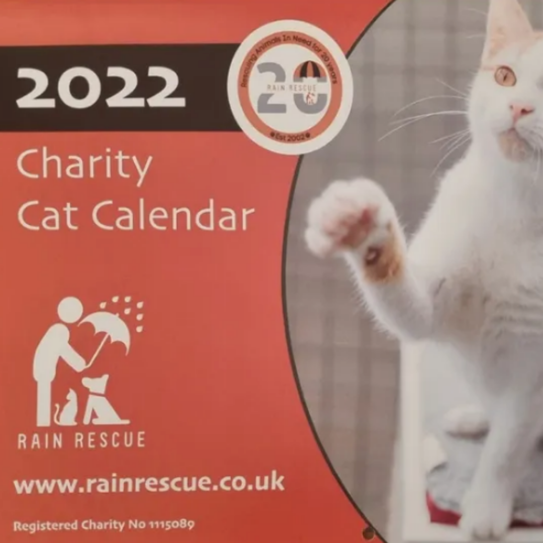 2022 Cat Calendars on Sale - RainRescue