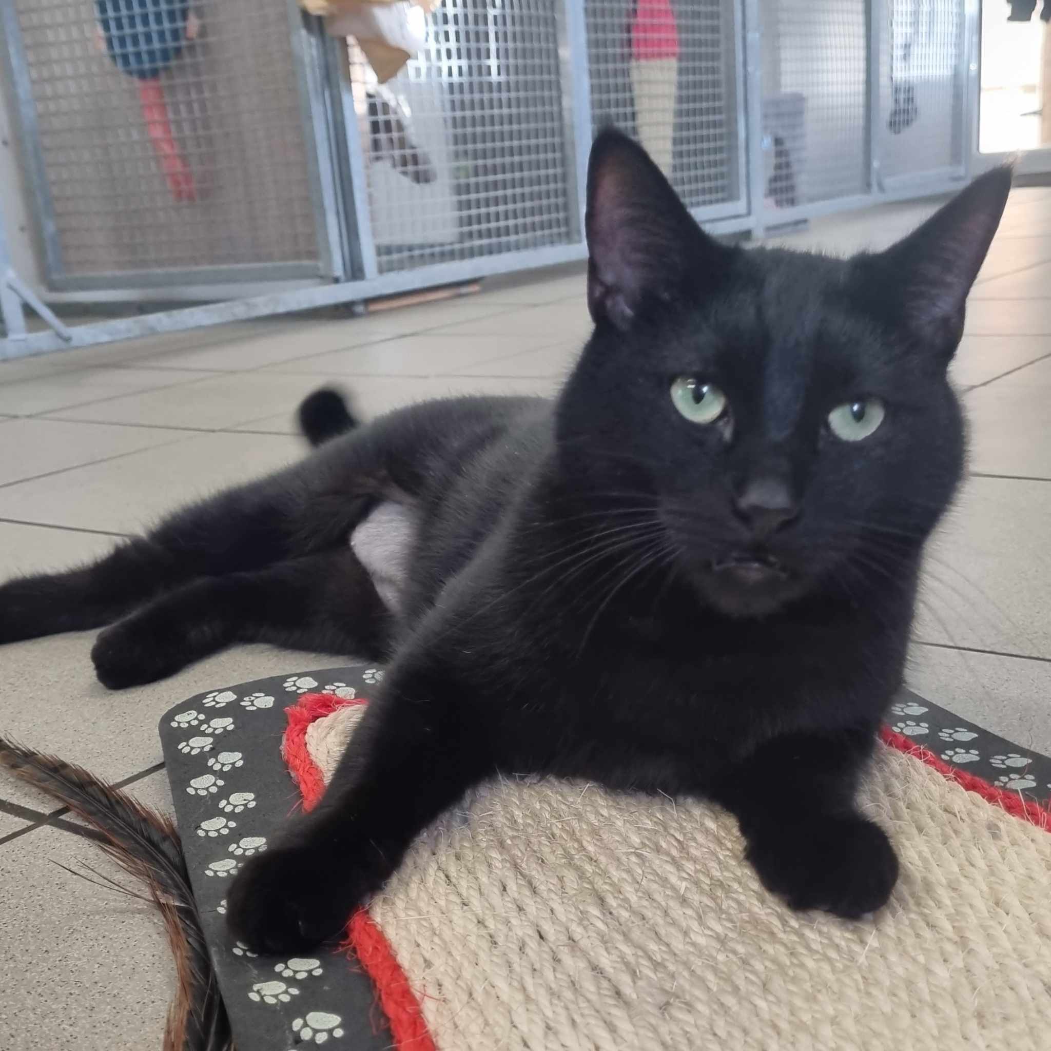 Salem