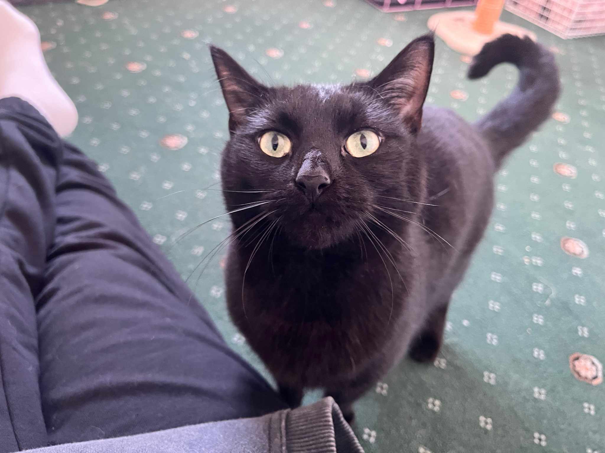 Salem