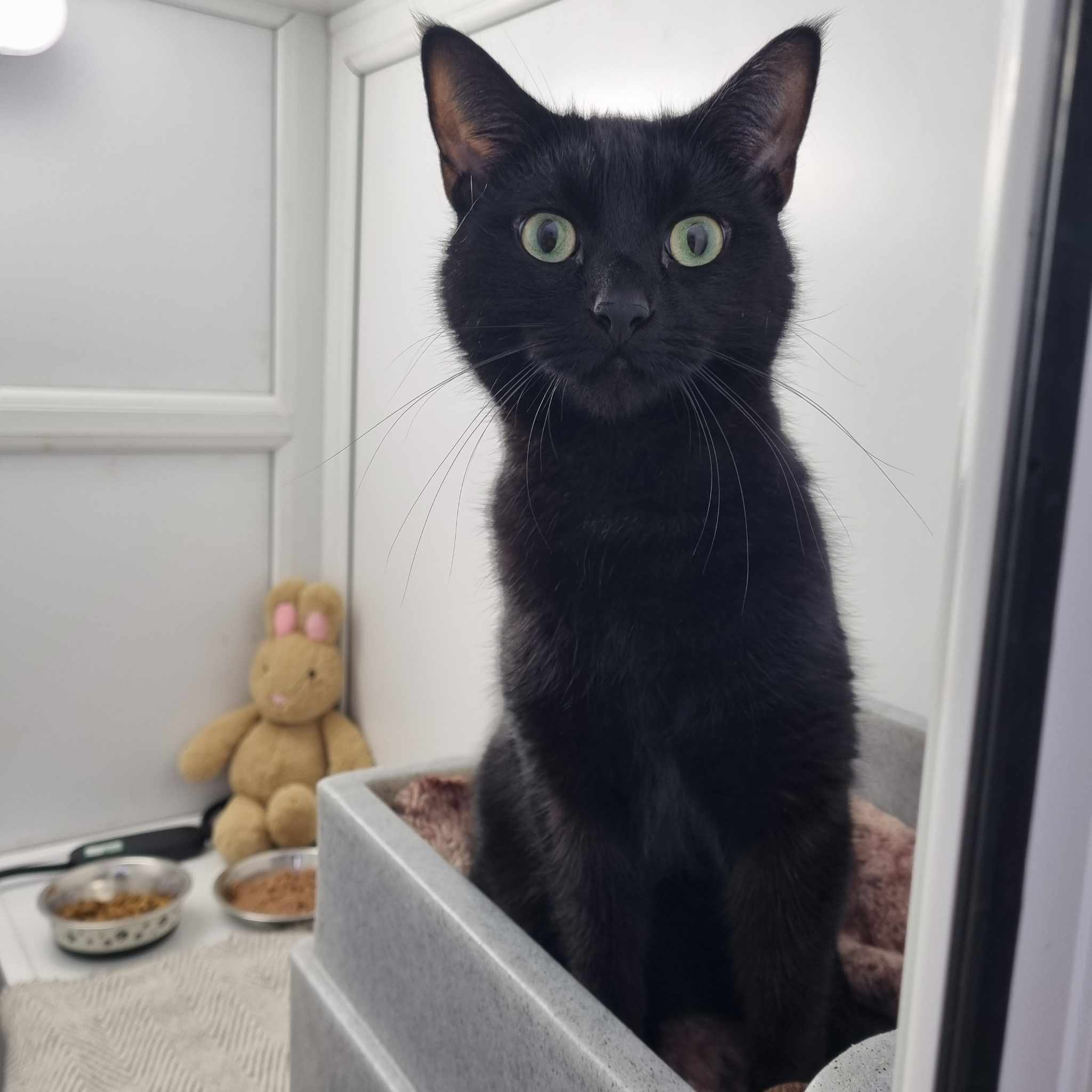 Salem
