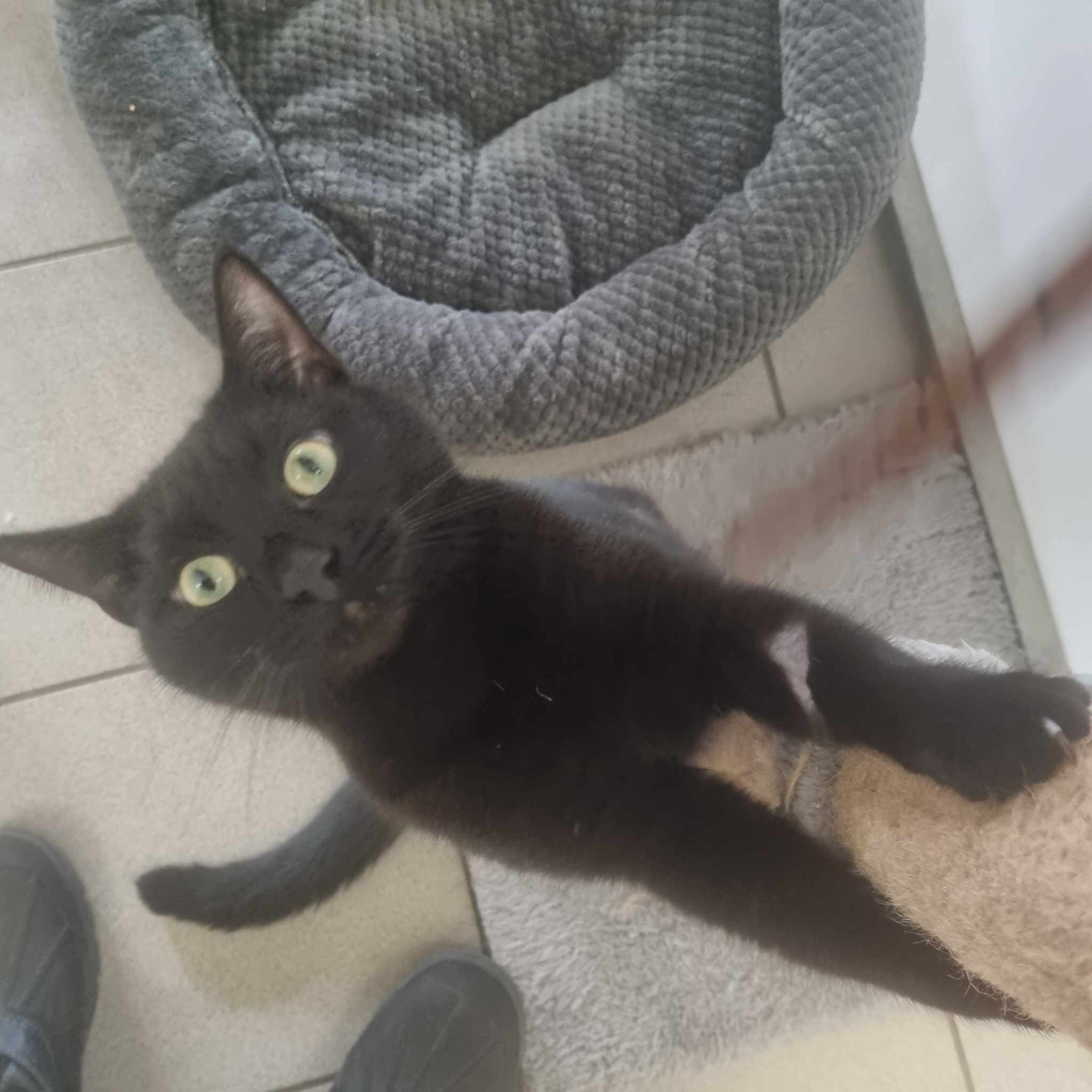 Salem