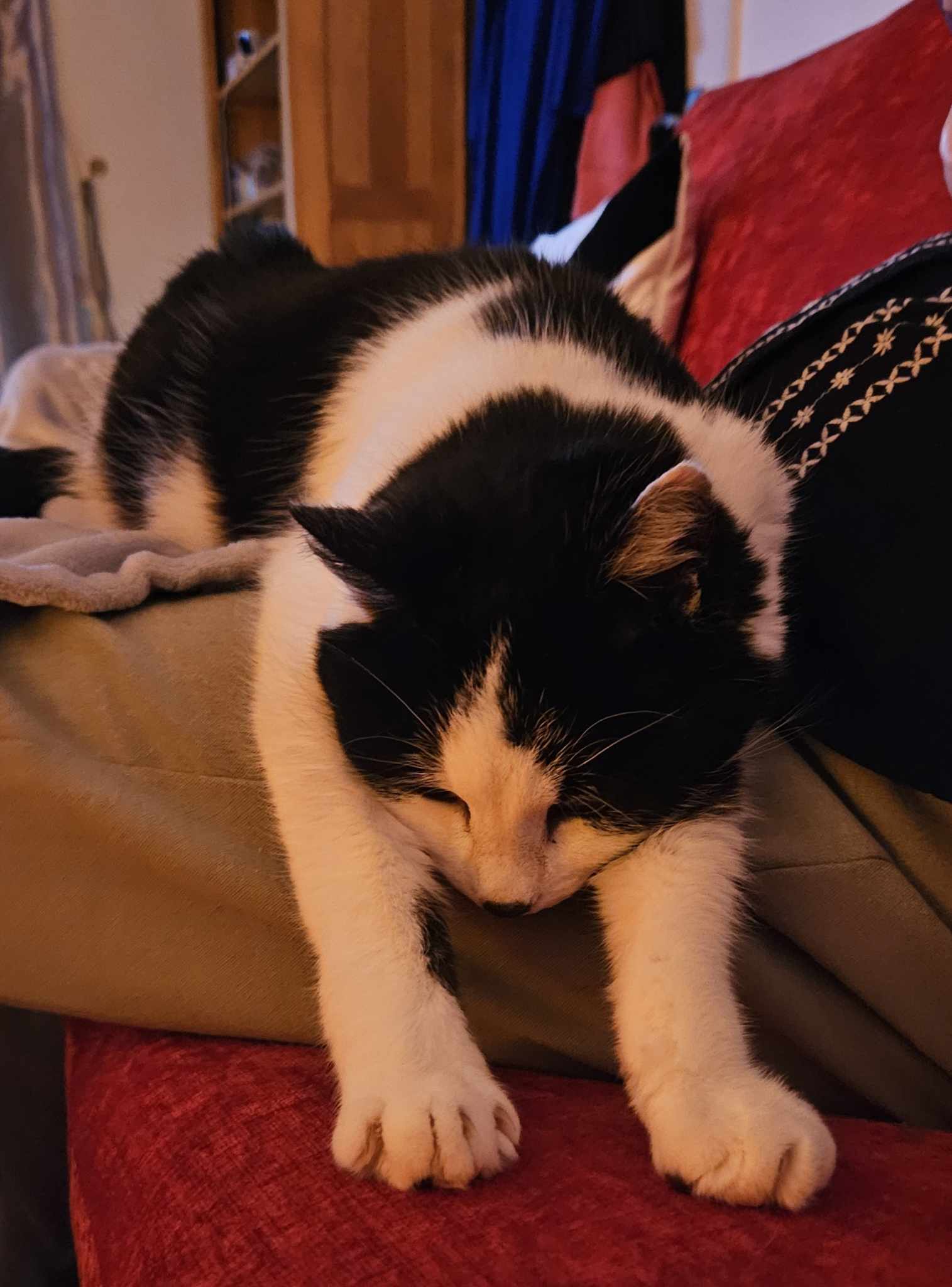 Scarlett – 14 Year Old Female