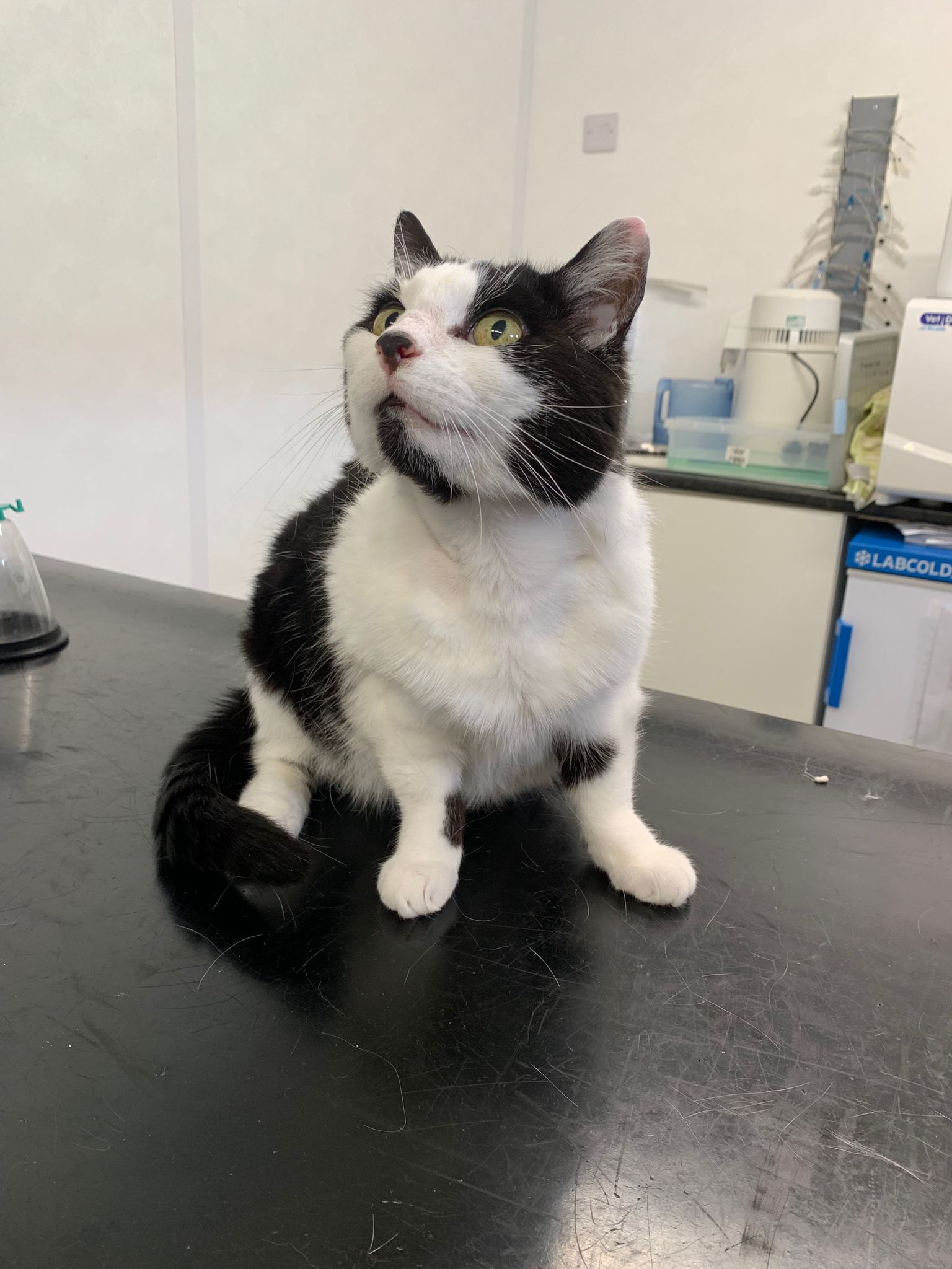 Scarlett – 14 Year Old Female