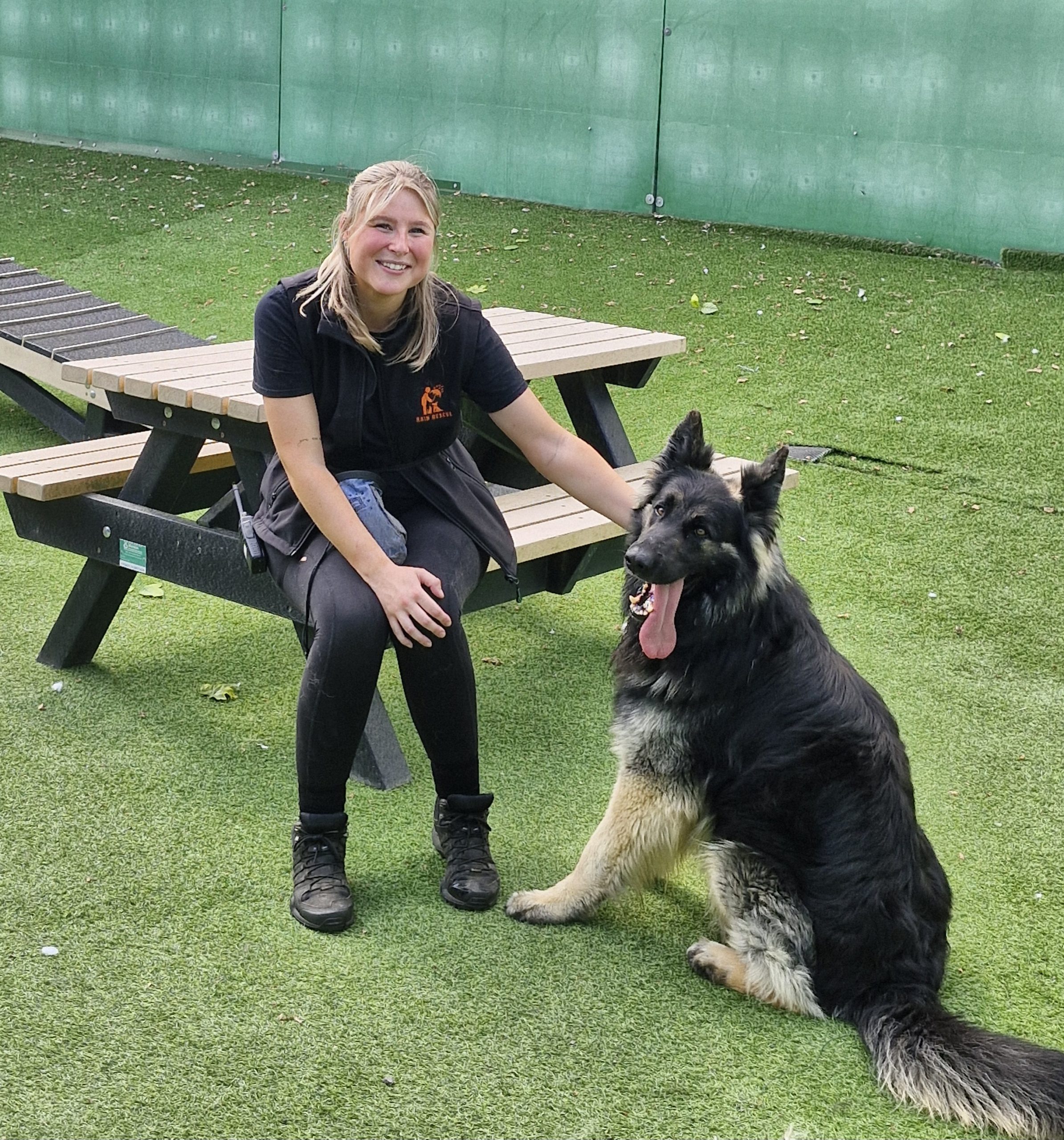 Endeavor- 2 Year Old Male – RESERVED
