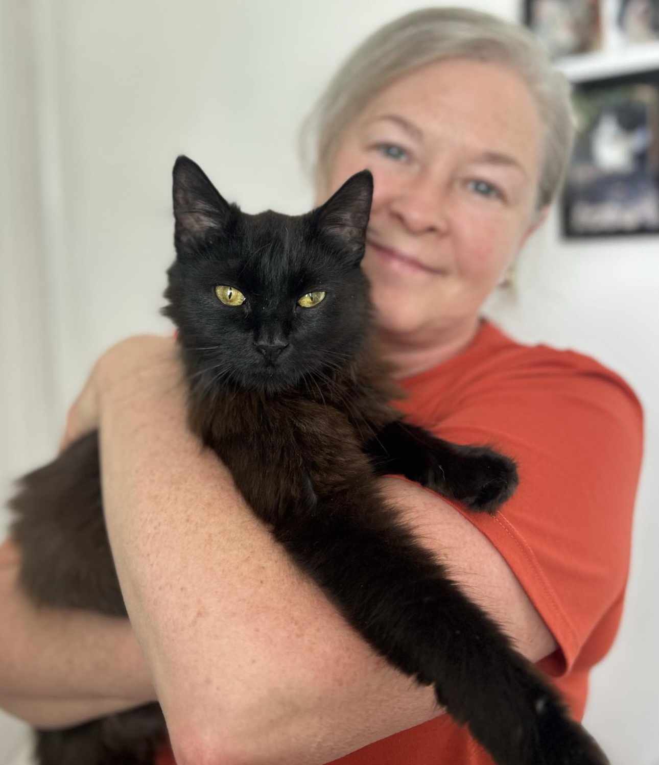 Suki – 1 Year Old Female
