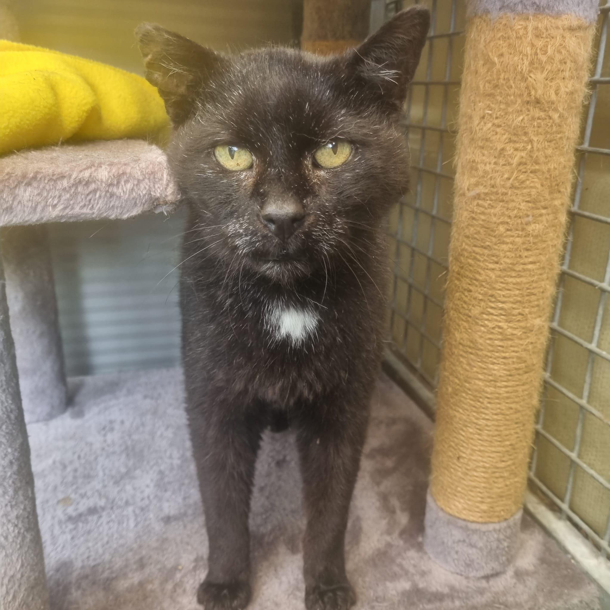 Eric- 15 Year Old Male