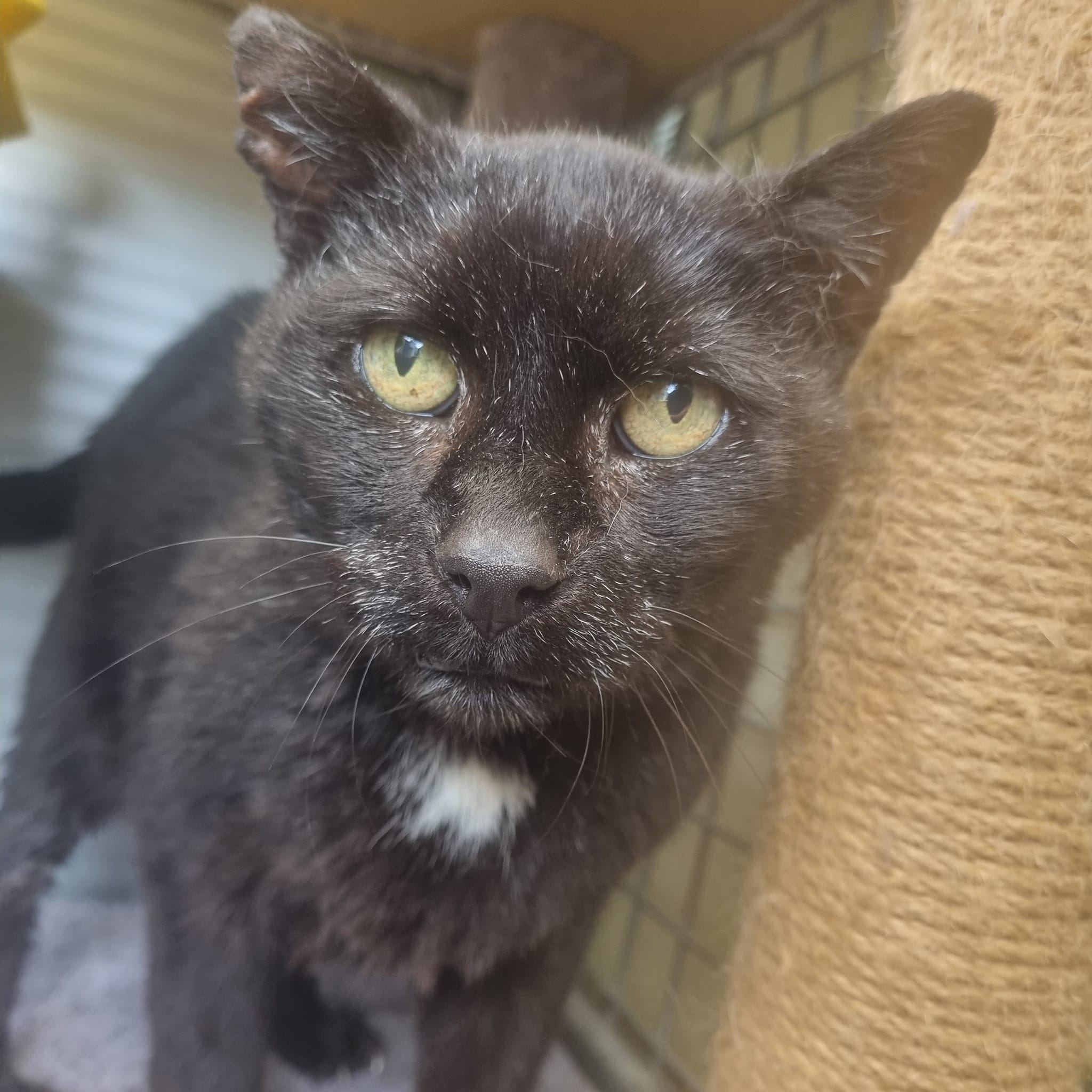 Eric- 15 Year Old Male