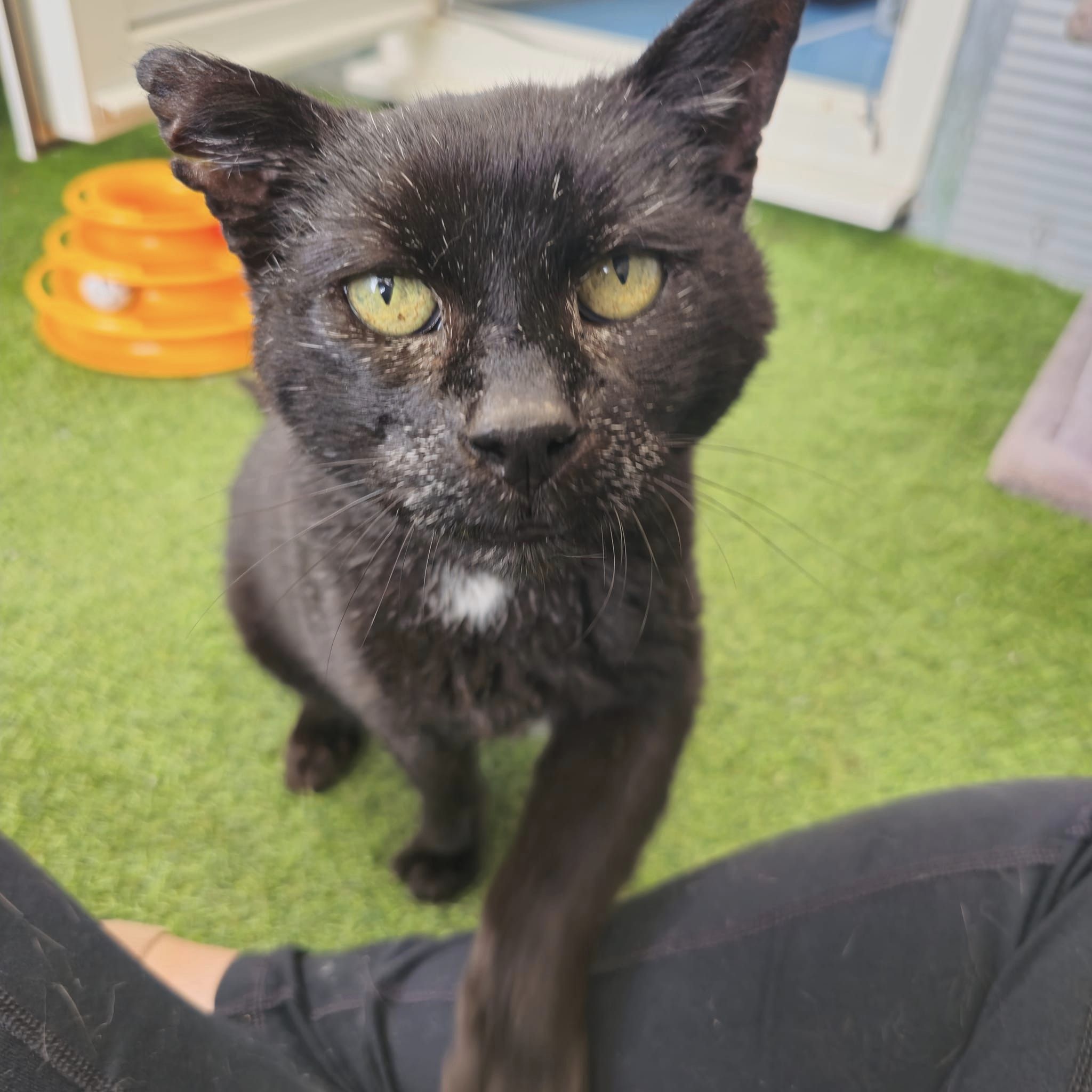 Eric- 15 Year Old Male