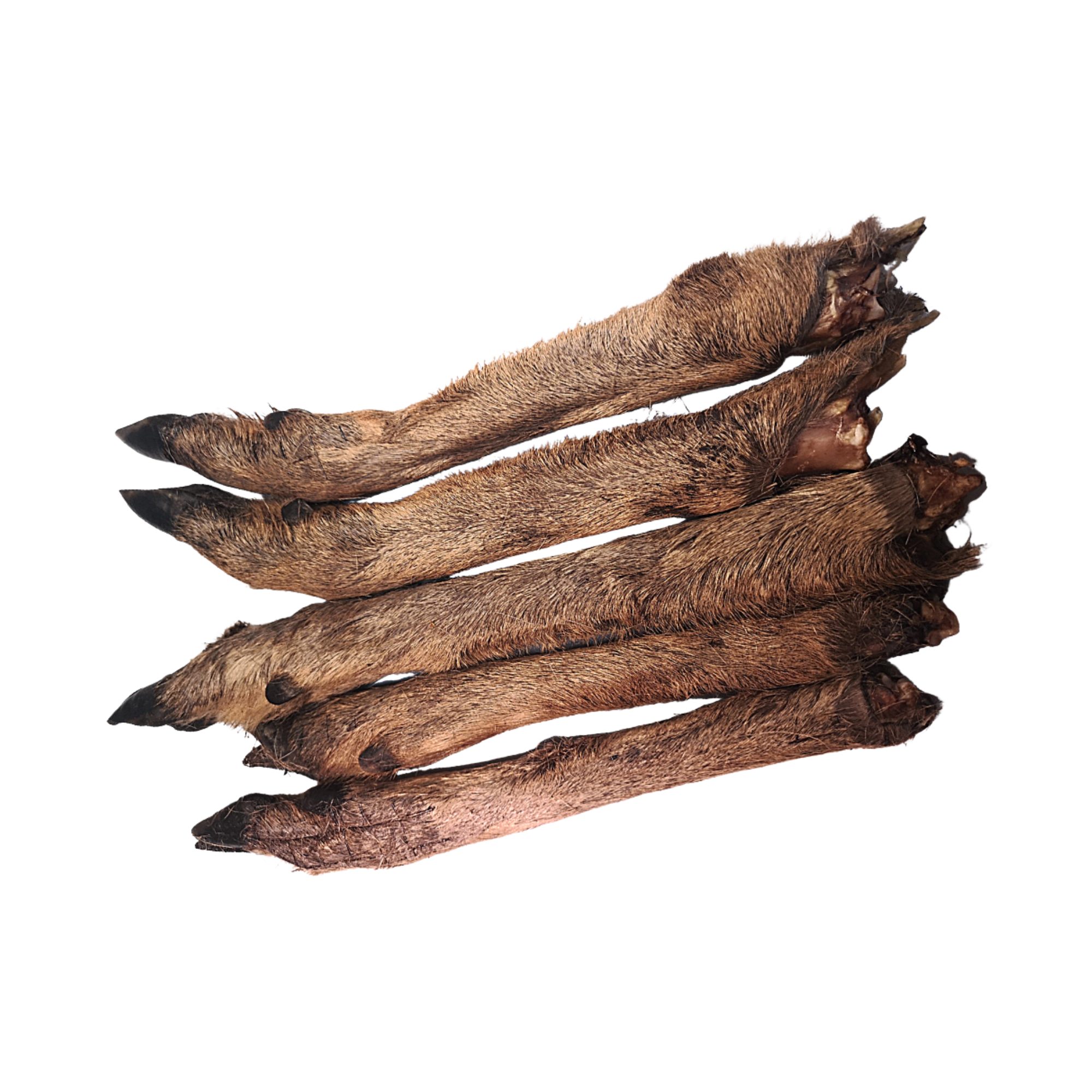 Venison Leg (with fur)