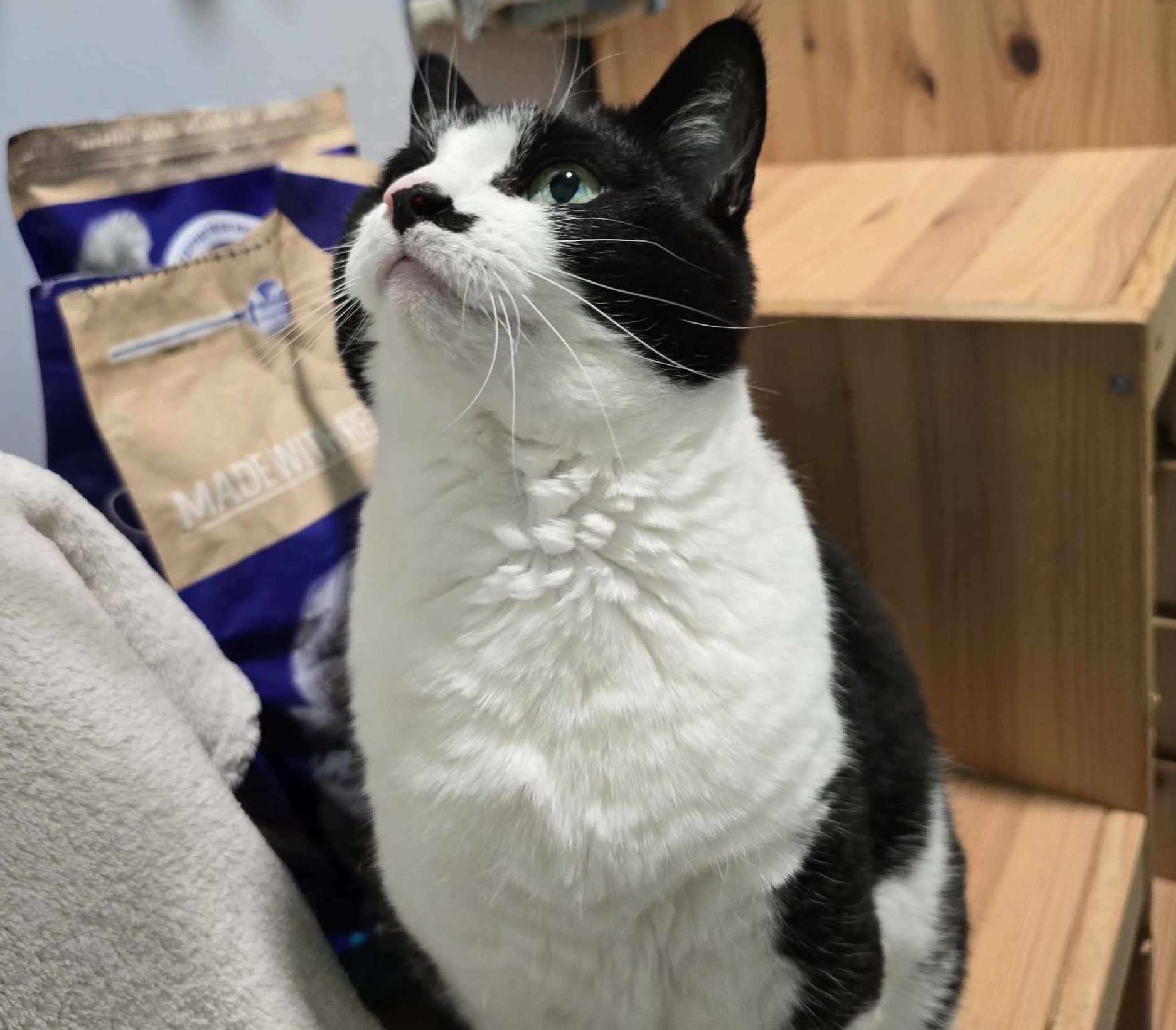 Holly-14 Year Old Female