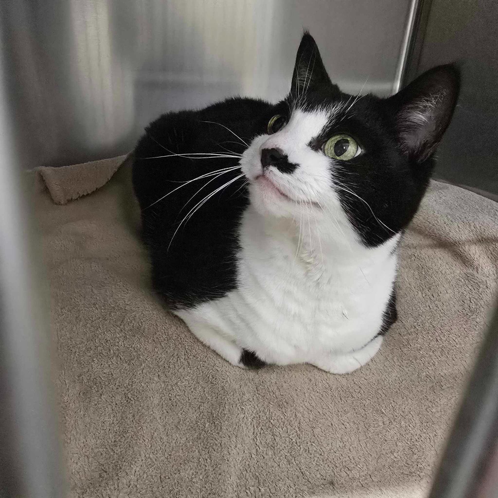 Holly-14 Year Old Female