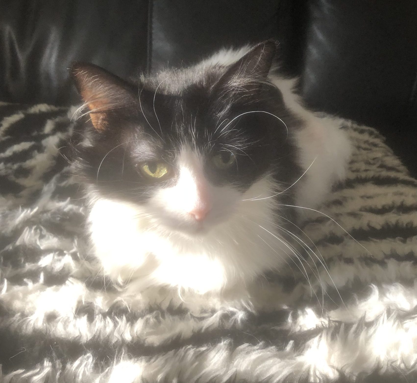 Tiny- 14 Year Old Female