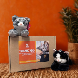 Sponsor a Cat Pod - Annual Gift Pack