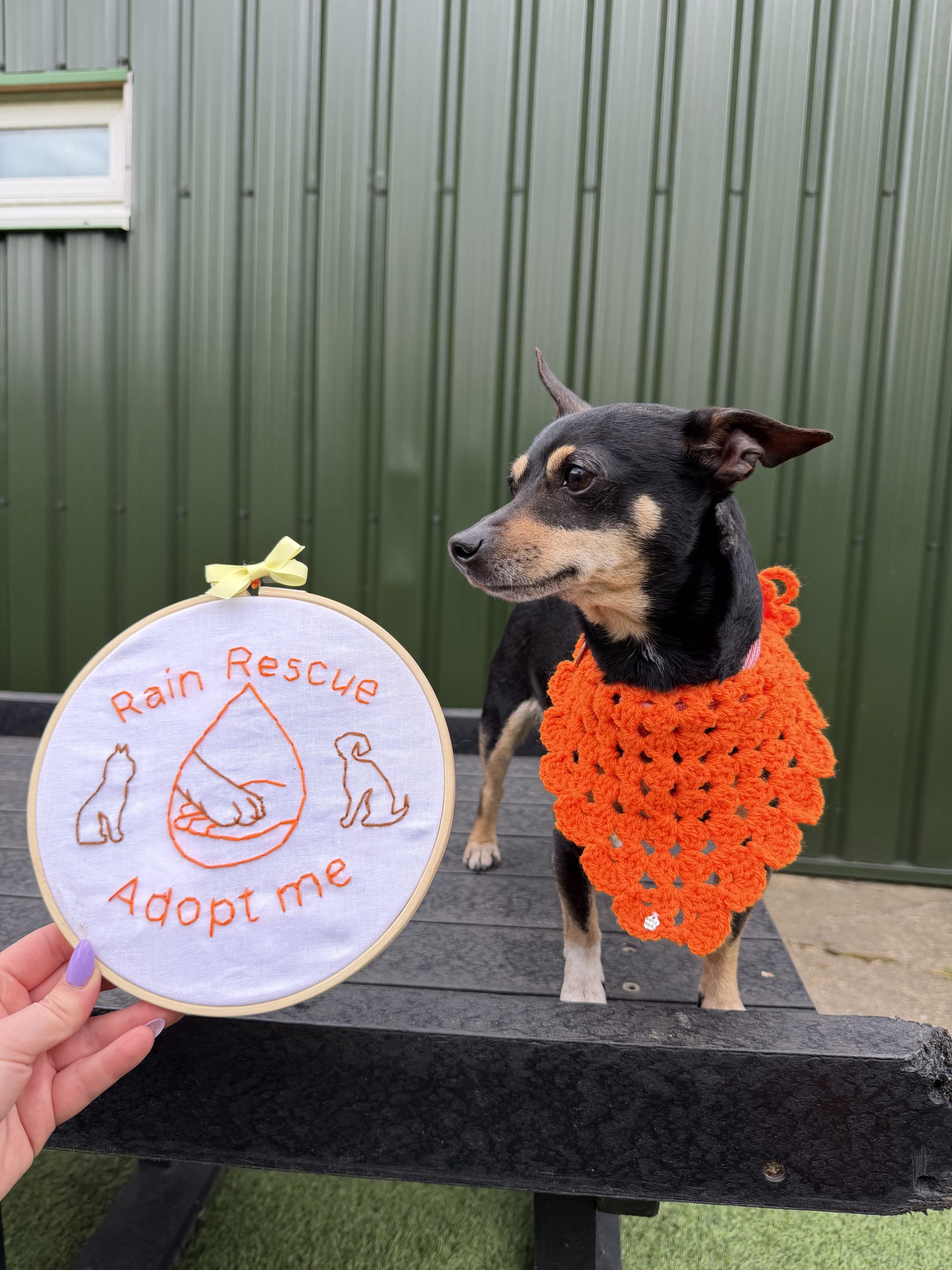 Jessie + Jay – 7 year old Females