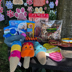 The Cool Canine Summer Raffle