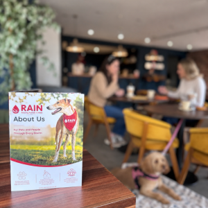 Cafe RAIN