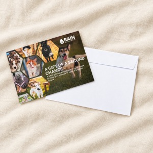 A Gift of a Second Chance – Gift Donation