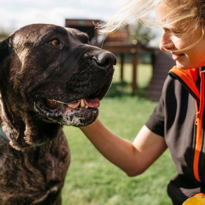 Person with a rescued dog, representing RAIN’s mission to help dogs and cats in need