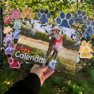 RAIN Rescue 2027 Charity Calendar