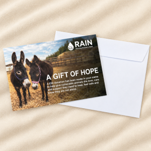 a postcard gift donation with two donkeys on the front from RAIN rescue.