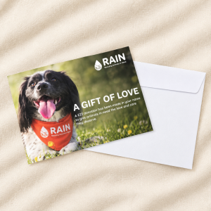 A £25 donation gift card with a springer spaniel rain rescue dog on the front cover