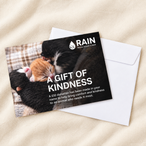 A Gift Of Kindess - Gift Donation