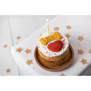 Doggy Birthday-cake